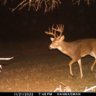 kaycountyhunter
