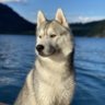 Kootenay_Skye