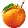 OJ_