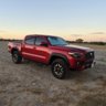 TacoBandit22