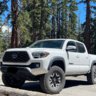 RockingTaco805
