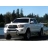 Perfetto Tacoma