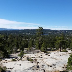 20160709_092428