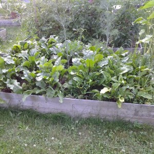 20160705_185413
