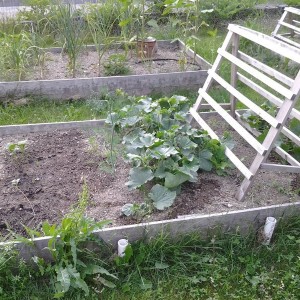 20160705_185422