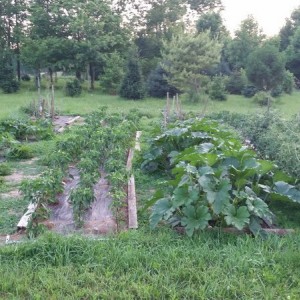 20160625_202548