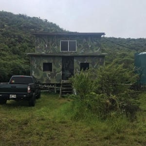 Way up in the mountains