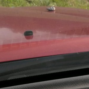 This guy wanted a ride. Glad he didnt hit my windshield might have left a scar