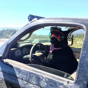 "No time to explain. Just get in the damn truck and hold on"