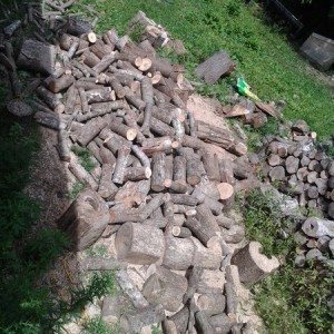 20160730_114109