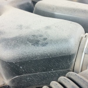 Something was inspecting the engine this weekend O_o