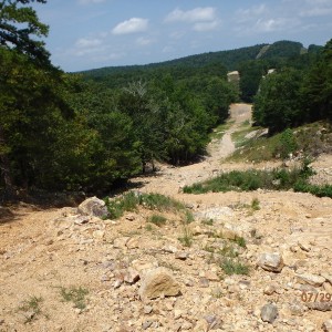 P7290045