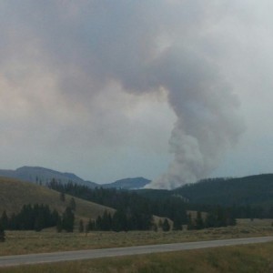 Fire in the park :(