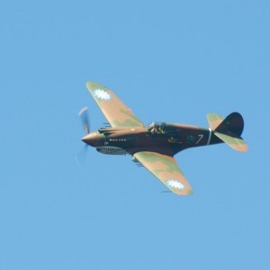 Seafair 2016 (4)