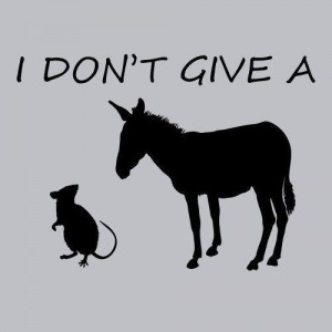 T-shirts-i-don-t-give-a-rats-ass-1_grande