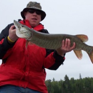 AdamMuskie2