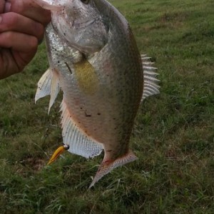 Good thing i had a spare