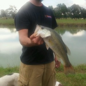 Best of the day... And the fish aint too bad either