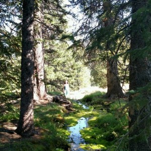 Trip to railroad ridge East fork of the Salmon last Sunday
