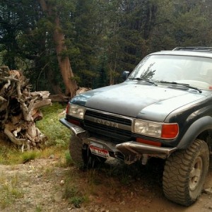 Headed down in the FJ80