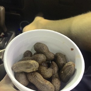 First time having boiled peanuts! On the way to Georgia!!