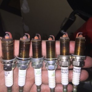 Old Plugs