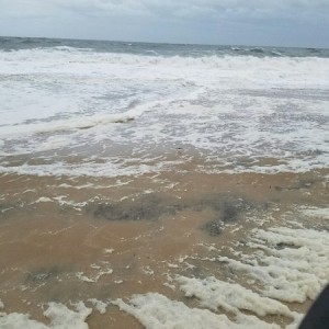 Ocean is a little turgid.
