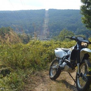 The Dizzer
