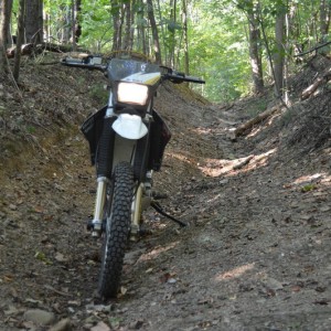 The Dizzer