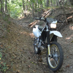 The Dizzer
