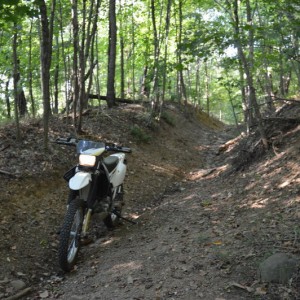 The Dizzer