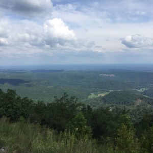 2016-09-02 15.51.54