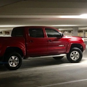 WS TACO