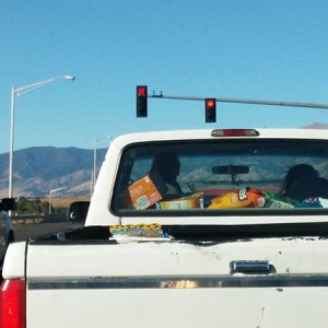 I think they went to Costco...maybe