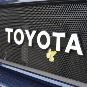 Butterflies and Skid plates