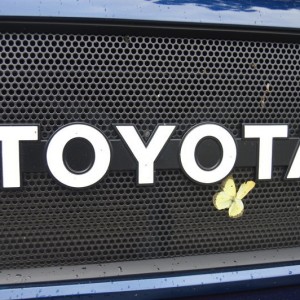 Butterflies and Skid plates