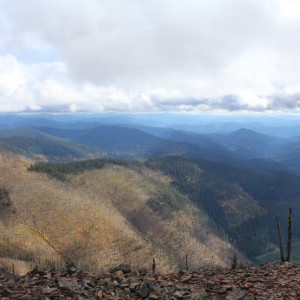 IMG_0384