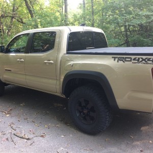 Trd