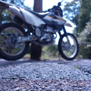Dizzer Macro