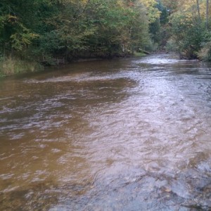 Absolutely beautiful river to trout fish.