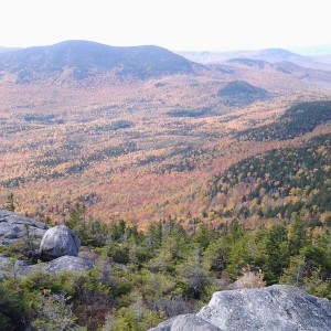20161016_105828 (1)