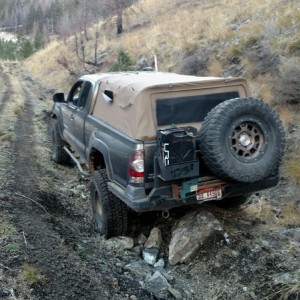 Softopper carnage from a sharp stick