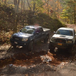 Taco Guy11 Trail Exploration