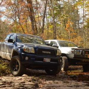 Taco Guy11 Trail Exploration