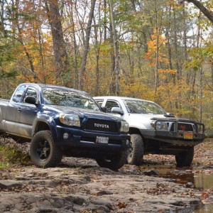 Taco Guy11 Trail Exploration