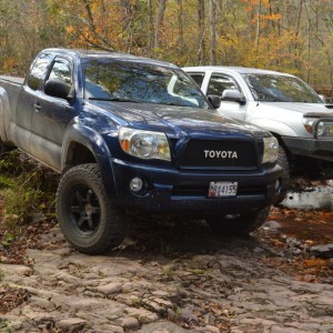 Taco Guy11 Trail Exploration