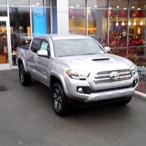 2016 Sport