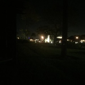 Last night in Disney.