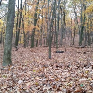 20161103_085050