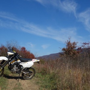 More RX100